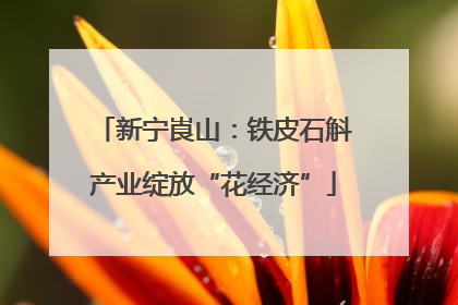 新宁崀山：铁皮石斛产业绽放“花经济”