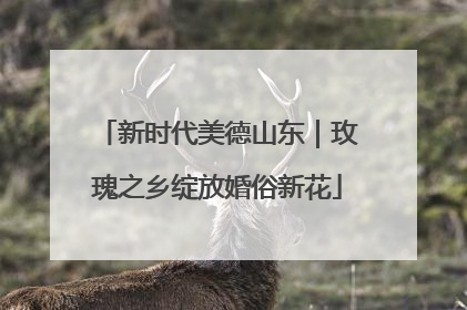 新时代美德山东｜玫瑰之乡绽放婚俗新花
