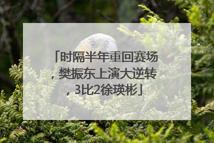 时隔半年重回赛场，樊振东上演大逆转，3比2徐瑛彬