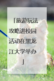 旅游玩法攻略进校园活动在黑龙江大学举办