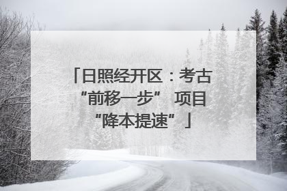 日照经开区：考古“前移一步” 项目“降本提速”