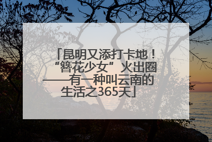 昆明又添打卡地！“簪花少女”火出圈——有一种叫云南的生活之365天