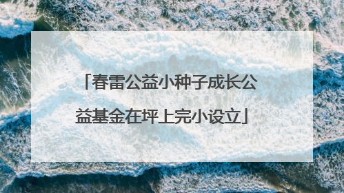 春雷公益小种子成长公益基金在坪上完小设立