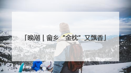晚潮｜畲乡“金枕”又飘香