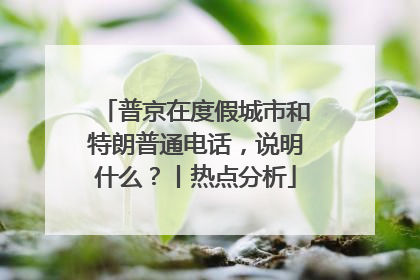 普京在度假城市和特朗普通电话，说明什么？丨热点分析