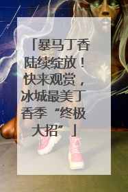 暴马丁香陆续绽放！快来观赏，冰城最美丁香季“终极大招”