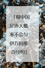 曝中国足协大概率不会与伊万科维奇续约