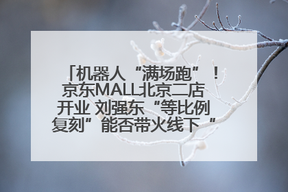机器人“满场跑”！京东MALL北京二店开业 刘强东“等比例复刻”能否带火线下“618”？