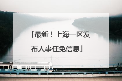 最新！上海一区发布人事任免信息