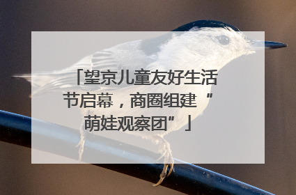 望京儿童友好生活节启幕，商圈组建“萌娃观察团”