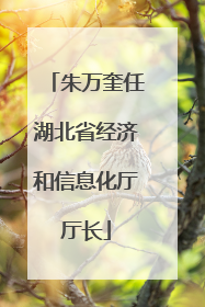 朱万奎任湖北省经济和信息化厅厅长