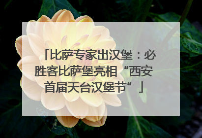 比萨专家出汉堡：必胜客比萨堡亮相“西安首届天台汉堡节”