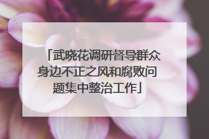 武晓花调研督导群众身边不正之风和腐败问题集中整治工作