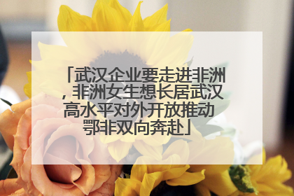 武汉企业要走进非洲，非洲女生想长居武汉 高水平对外开放推动鄂非双向奔赴