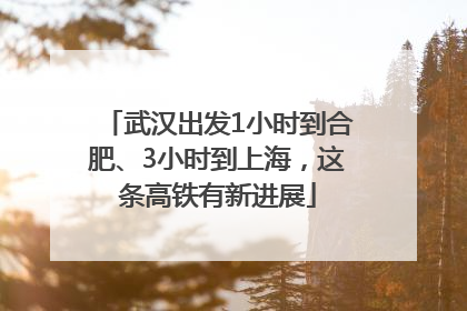 武汉出发1小时到合肥、3小时到上海，这条高铁有新进展