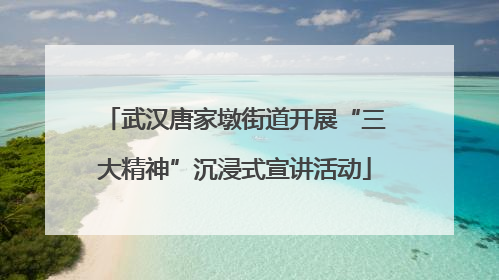 武汉唐家墩街道开展“三大精神”沉浸式宣讲活动