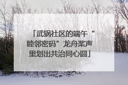 武锅社区的端午“睦邻密码”龙舟桨声里划出共治同心圆
