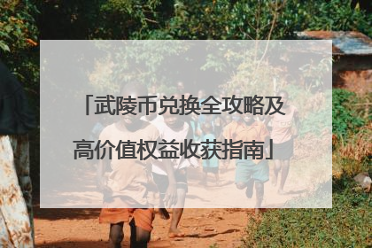 武陵币兑换全攻略及高价值权益收获指南