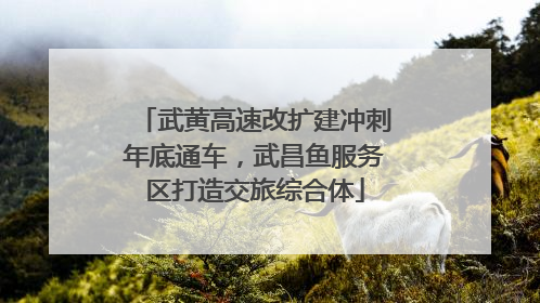武黄高速改扩建冲刺年底通车，武昌鱼服务区打造交旅综合体