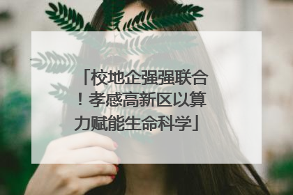 校地企强强联合！孝感高新区以算力赋能生命科学