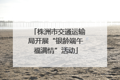 株洲市交通运输局开展“银龄端午福满情”活动