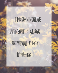 株洲市强戒所向群：忠诚铸警魂 丹心护归途