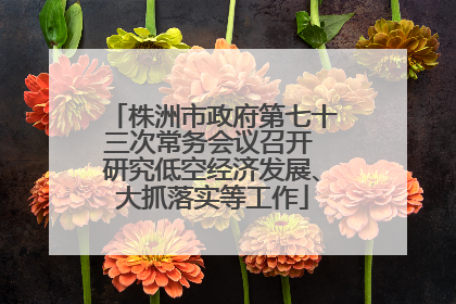 株洲市政府第七十三次常务会议召开 研究低空经济发展、大抓落实等工作