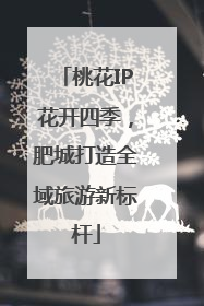 桃花IP花开四季，肥城打造全域旅游新标杆
