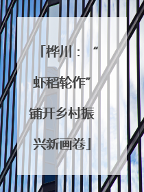 桦川：“虾稻轮作”铺开乡村振兴新画卷
