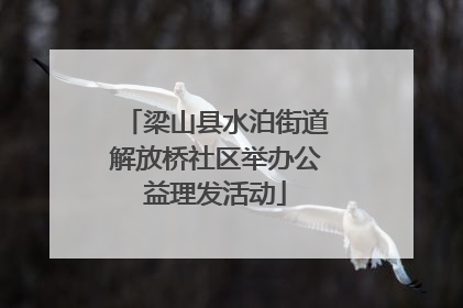 梁山县水泊街道解放桥社区举办公益理发活动