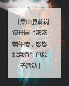 梁山县韩岗镇开展“浓浓端午情，悠悠粽意香”包粽子活动