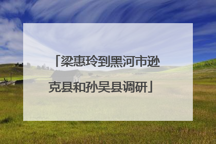 梁惠玲到黑河市逊克县和孙吴县调研