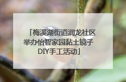 梅溪湖街道润龙社区举办怡智家园黏土镜子DIY手工活动