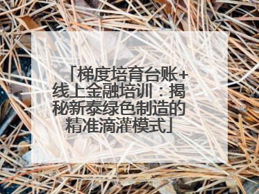 梯度培育台账+线上金融培训：揭秘新泰绿色制造的精准滴灌模式