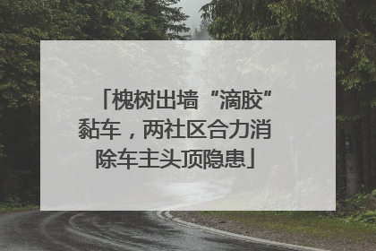 槐树出墙“滴胶”黏车，两社区合力消除车主头顶隐患