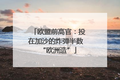 欧盟前高官：投在加沙的炸弹半数“欧洲造”