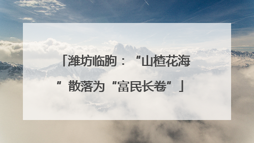 潍坊临朐：“山楂花海”散落为“富民长卷”