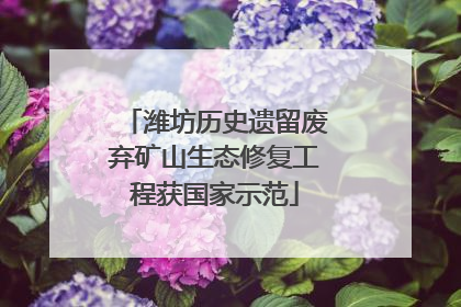 潍坊历史遗留废弃矿山生态修复工程获国家示范