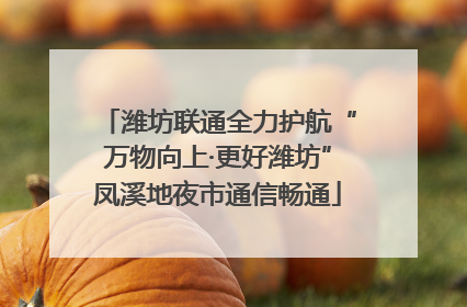 潍坊联通全力护航“万物向上·更好潍坊”凤溪地夜市通信畅通