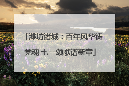 潍坊诸城：百年风华铸党魂 七一颂歌谱新章