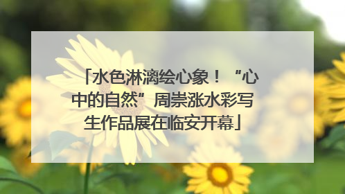 水色淋漓绘心象！“心中的自然”周崇涨水彩写生作品展在临安开幕