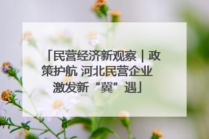 民营经济新观察｜政策护航 河北民营企业激发新“冀”遇