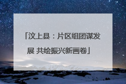 汶上县：片区组团谋发展 共绘振兴新画卷