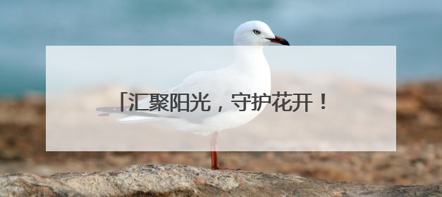 汇聚阳光，守护花开！2025年全国高考各地护航行动持续展开