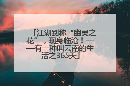 江湖别称“幽灵之花”，现身临沧！——有一种叫云南的生活之365天
