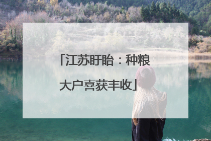 江苏盱眙：种粮大户喜获丰收