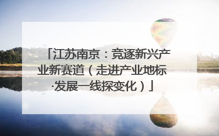 江苏南京：竞逐新兴产业新赛道（走进产业地标·发展一线探变化）