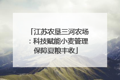 江苏农垦三河农场：科技赋能小麦管理保障夏粮丰收