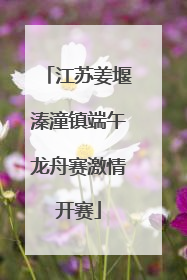 江苏姜堰溱潼镇端午龙舟赛激情开赛