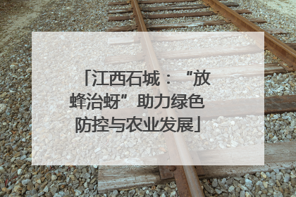 江西石城：“放蜂治蚜”助力绿色防控与农业发展